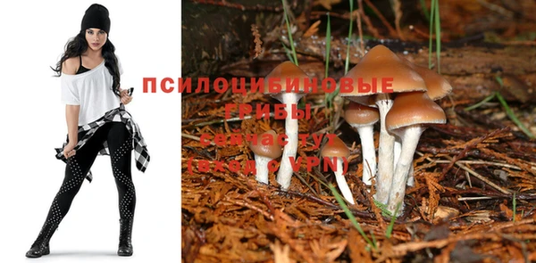 ГАЛЛЮЦИНОГЕННЫЕ ГРИБЫ Слюдянка